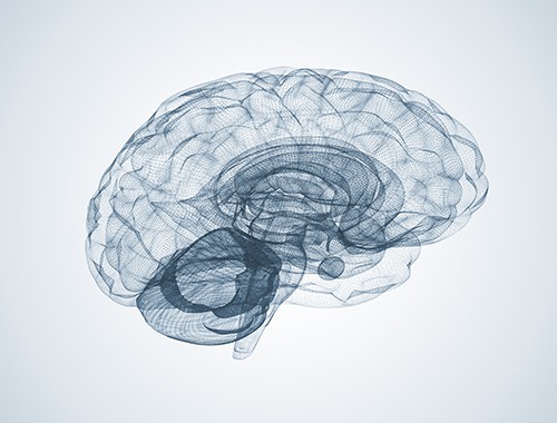 3d pen drawing of human brain | Long-Term Effects of TBI 